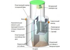 Панда Киота 12